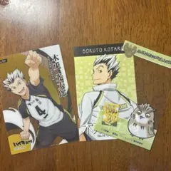 ハイキュー 木兎光太郎