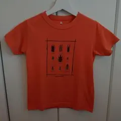 mont-bell 昆虫プリント Tシャツ オレンジ130cm