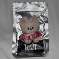 stray kids RUNIT SEOUL マイクロ ハンクォッカ - メルカリ