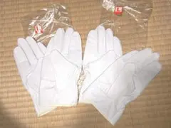 Item thumbnail for item 513746a4-e3f8-48e3-8d31-2c547b1cf652