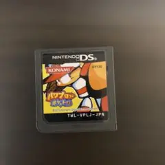 パワプロクンポケット13 NINTENDO DS　動作確認済み　Nintendo