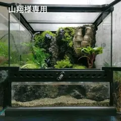 水の流れる滝テラリウム水槽 60サイズ ガジュマル - メルカリ
