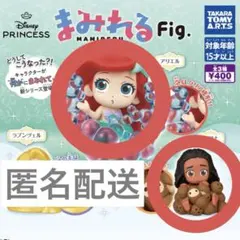 まみれる プリンセス 匿名配送