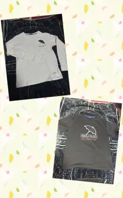アーノルドパーマー　Tシャツ2枚セット