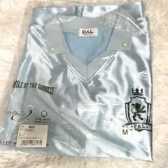 Item thumbnail for item a120852e-024c-4ea9-ad23-97aa92de72b4