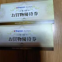 ヤマダ電機 株主優待10000円分 お買物優待券 20枚