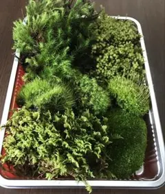 candie様 リクエスト 4点 まとめ商品