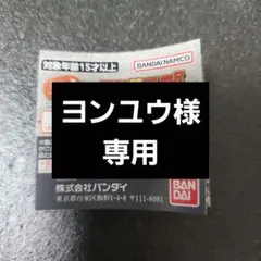 ヨンユウ様　専用