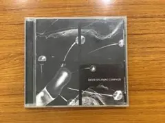 David Sylvian Camphor