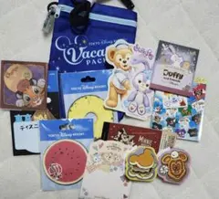 ディズニーリゾート メモ ポシェット マステ