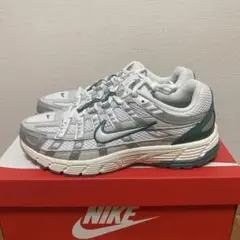 Nike P-6000 Premium