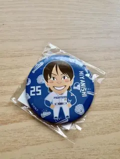 宮西尚生 ファイターズガチャ 缶バッジ - メルカリ