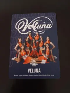 VELUNA　カード　ベルテックス静岡　会員特典