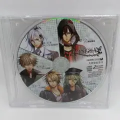 AMNESIA CROWDS CD