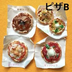 5種のよくばりピザセットB