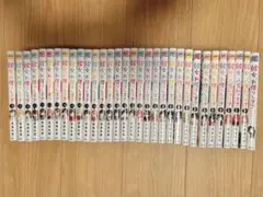 1〜30巻セット】パラレルパラダイス 岡本倫 講談社 ※13巻特装版 - メルカリ