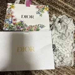 博多阪急◆ディオールショップバッグ　緩衝材付き