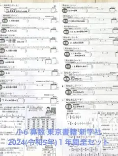 2025年最新】カラーテスト 6年 新学社の人気アイテム - メルカリ