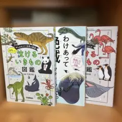 Item thumbnail for item 488c6db4-92bb-43c4-8f31-fd78250f3ed2