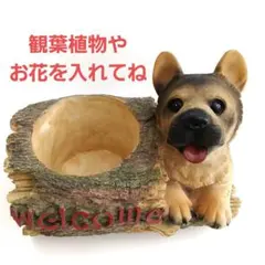 犬の置物　鉢カバー　小物入れ　園芸用品　ガーデニング