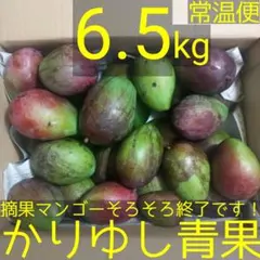 2026年最新】摘果マンゴーの人気アイテム - メルカリ