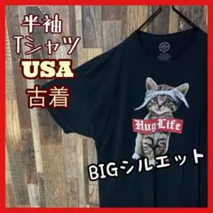 プリント アニマル 猫 ストリート メンズ ブラック 3XL古着 半袖 Tシャツ