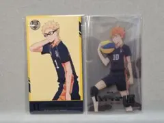 ハイキュー!!/月島蛍、日向翔陽