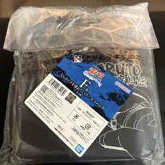 一番くじ NARUTO-ナルト- 疾風伝 輪廻の嘆きと平和の懸け橋 F賞