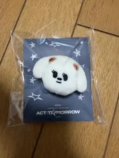 バムグッ アイドル