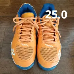 ヨネックス テニスシューズ25.0㎝ オールコート用