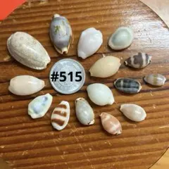 2025年最新】タカラガイの人気アイテム - メルカリ