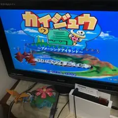 カイジュウの島 アミューズメントアイランド ゲームキューブ　起動確認済み