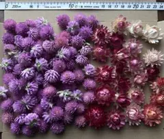 ♡No.14 ヘリクリサム・千日紅 ドライフラワー セット