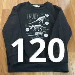 恐竜トレーナー　裏起毛なし　120ブラック