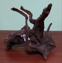 2025年最新】ホーンウッド adaの人気アイテム - メルカリ