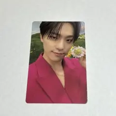 ディノ sector17 トレカ