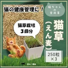[캣그라스] 캣그라스 재배 3회분 750개!빨리 키우고 키우기 쉬워요 ♪ 건강한 고양이 건강 관리를 위해!