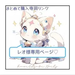 S♡ レオ様専用　6セットまとめ　「1050円割引」