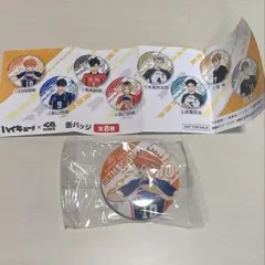 ハイキュー くら寿司　ビッくらポン　日向翔陽