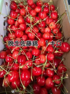 山形県産佐藤錦　１キロのサムネイル