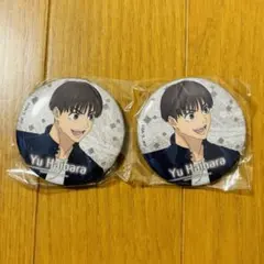 呪術廻戦 懐玉・玉折 グリッター缶バッジコレクション 灰原