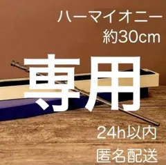 KOBU様【ハーマイオニー、ダンブルドア、ハリーポッター杖】スタジオツアーUSJ