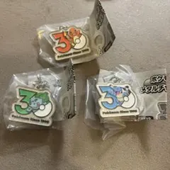 ポケモン メタルチャーム 30周年 3種セット　フシギダネ　ヒトカゲ　カメックス