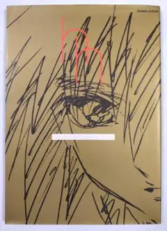 平井久司画集 hisasi hirai illustration works