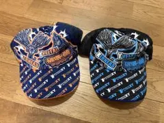 Item thumbnail for item efacf3e5-caf5-4615-9b06-84b00e634422