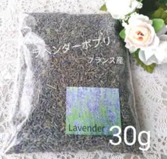 Item thumbnail for item 08dee23d-daa6-40db-a3f1-1c5e898feaf4