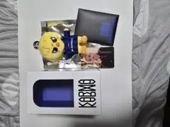 StrayKids KARMA SKZOO盤 フィリックスセット