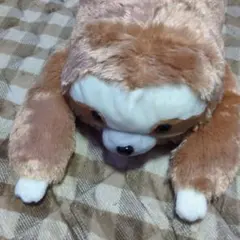 ナマケモノ ぬいぐるみ ブラウン ふわふわ