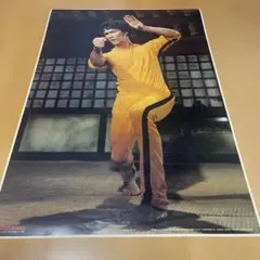 ブルースリー 死亡遊戯 ポスター ブルース・リー死亡遊戯 全券