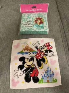 東京ディズニーリゾート タオルセット